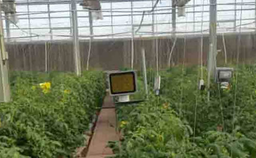 吉林省长春市-国信西红柿安装点