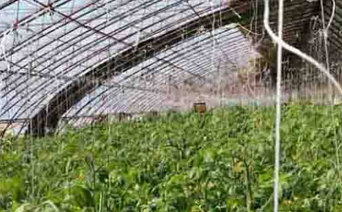 吉林省长春市新湖镇(今日家园)安装点