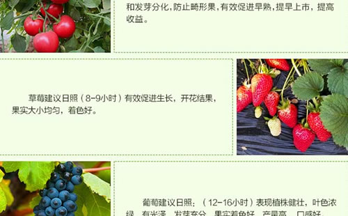 大棚补光灯能产生光合作用吗？