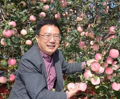 陕西省延安市宝塔区激光补光灯案例