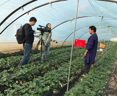 农林卫视现场采访使用植物补光灯用户