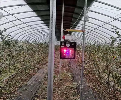 八旬报班学用智能手机，成为中国农民的新农具