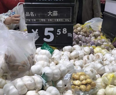 大蒜出口上涨,蒜农激光育种增产300斤