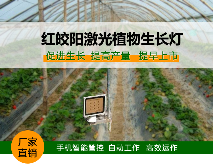 激光植物生长灯贵吗？它的使用寿命大概多久？