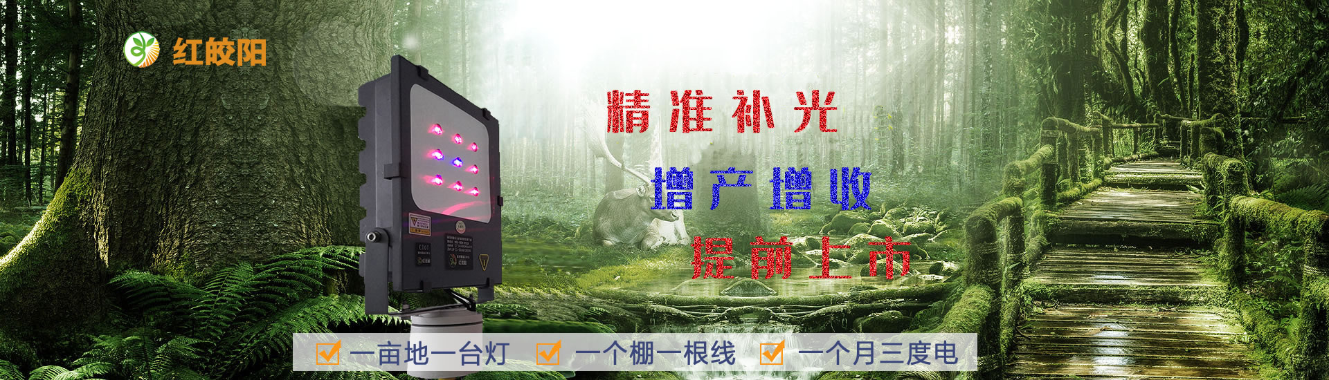红皎阳植物补光灯