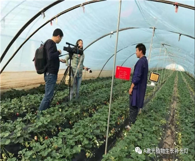 <b>红皎阳激光植物生长灯介绍</b>