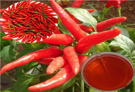 <b>出口韩国日本的辣椒做成化妆品，价格比黄金还贵，山西</b>