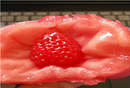 <b>大棚西红柿里吃出“草莓”来</b>