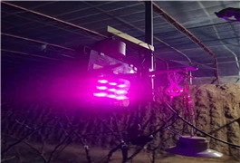 <b>温室农作物为什么要进行补光？</b>