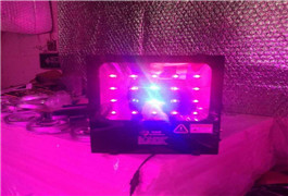 <b>为什么百分之90的棚户把LED补光灯换成了激光植物补光灯</b>