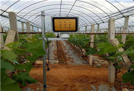 激光植物补光灯的作用