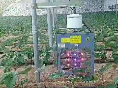 草莓补光灯草莓大棚补光灯激光植物补光