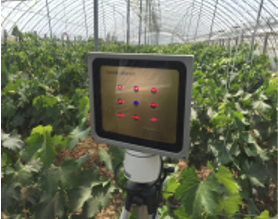 大棚种植水果为什么要使用植物补光灯？