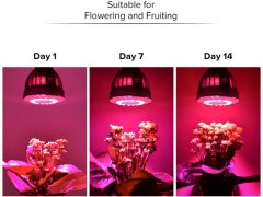 怎么选购好的植物生长灯呢？