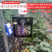 植物激光补光灯发展史