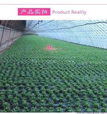 激光补光灯的功能及意义