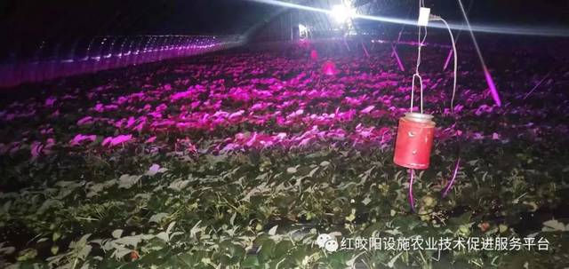 激光补光灯的使用方法