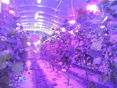 激光补光灯的优势