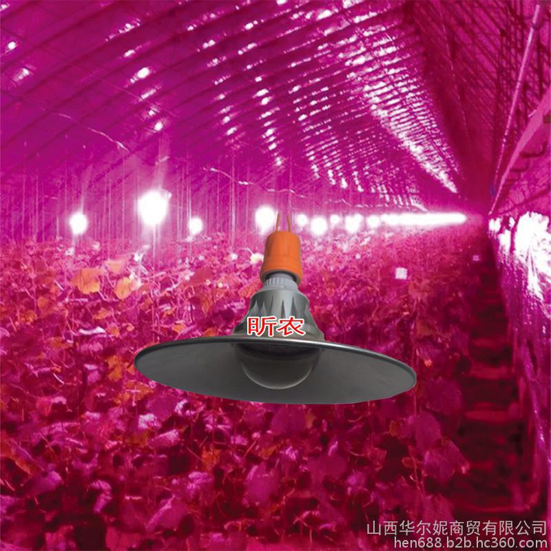 让作物提前上市7-30天不是问题；