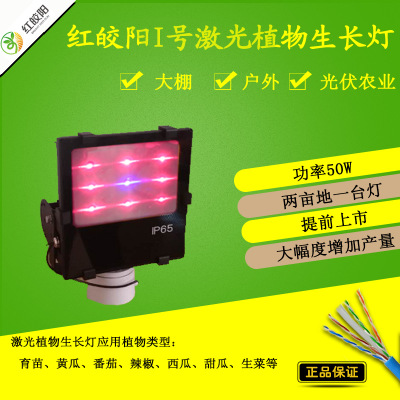 光照对细胞生长分化的影响