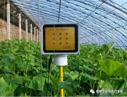 激光植物生长灯的广泛应用