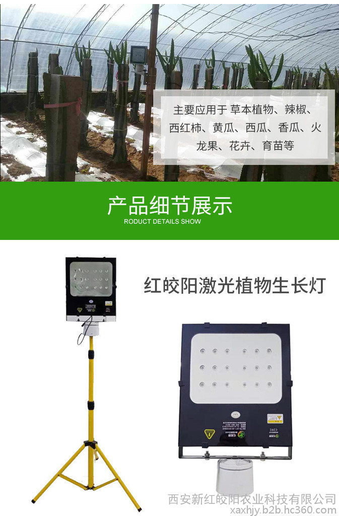 怎样正确选择合适的补光灯