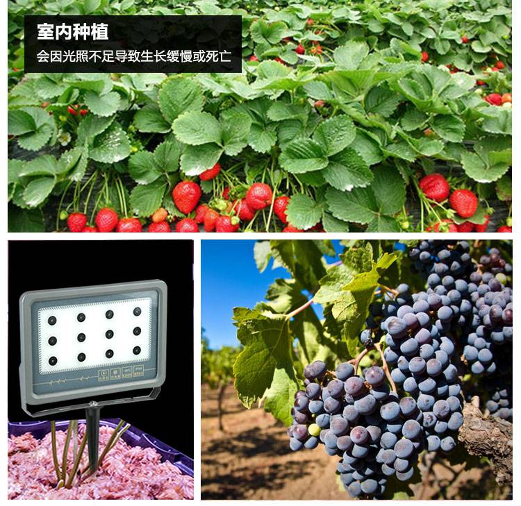   激光植物生长补光灯手机app安装教程