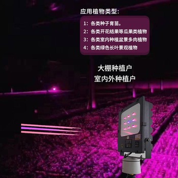 怎样选购补光灯