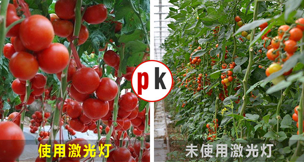 冬季使用补光灯是你们最好的选择