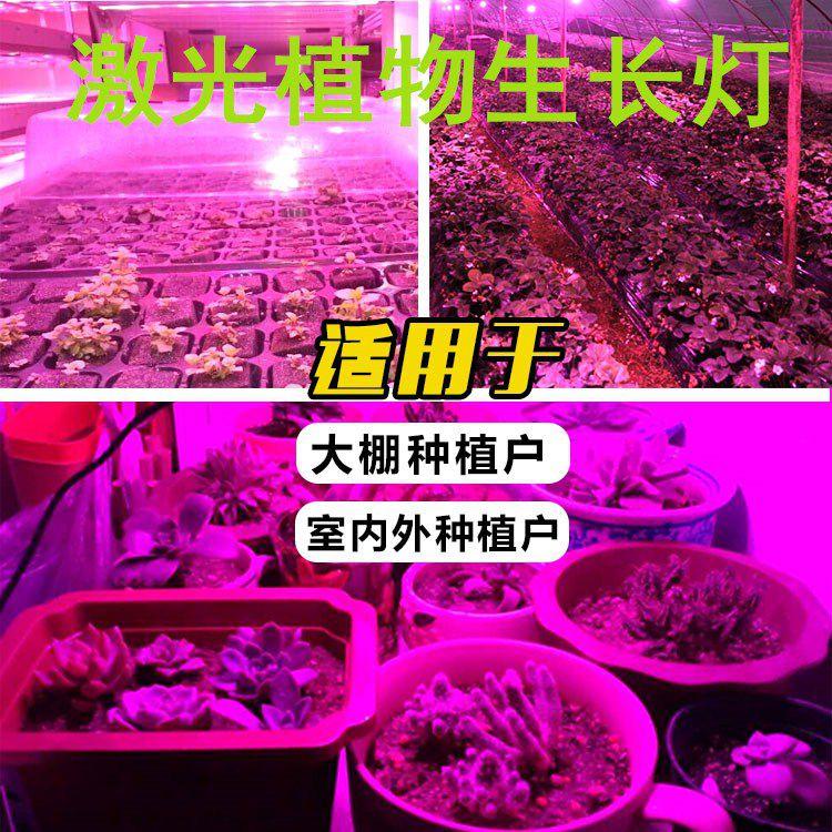 延长补光的作用