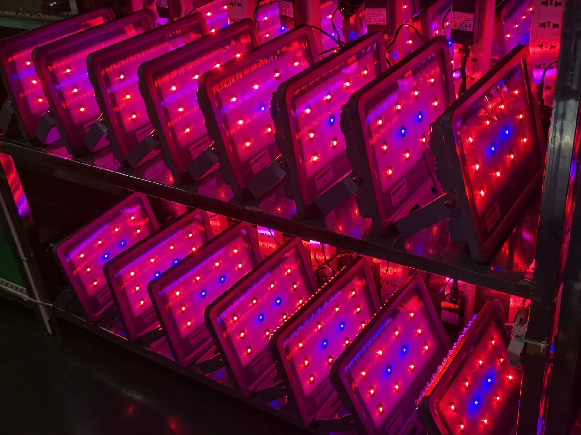 激光植物生长灯在植物育苗阶段的作用