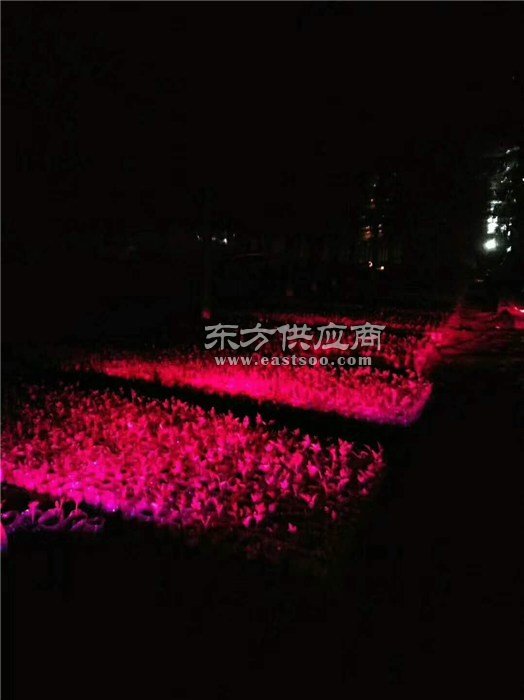 激光植物生长灯的作用以及对用户的保障