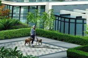 株洲第4代住宅绿化超过100%，50平米空中养花种菜，有啥